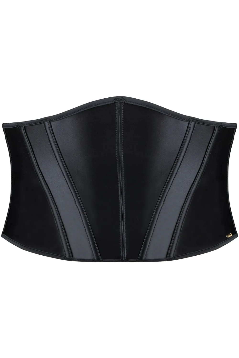 Iconic Allure Satin Waist Cincher